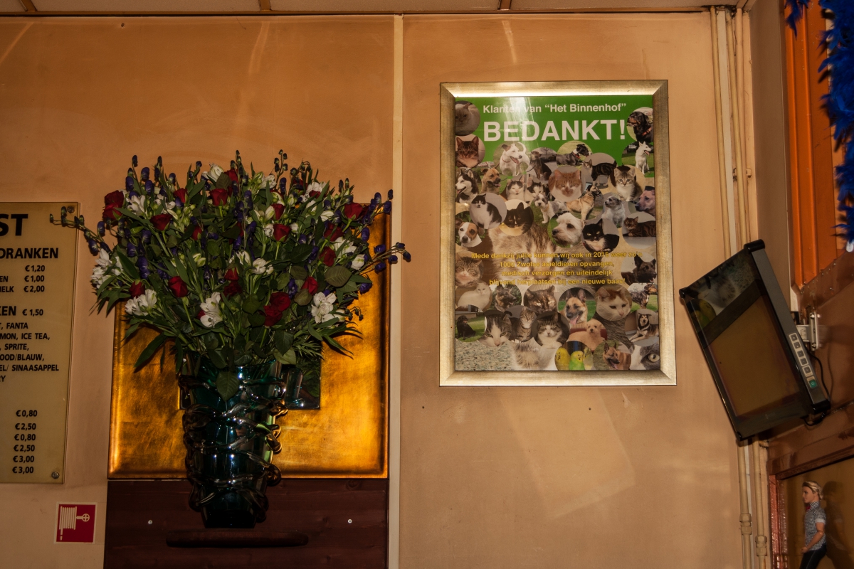 picmaickel-ramborun2015-9715